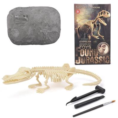 China Wholesales 63*25.5*60cm Dig Kit Dinosaur Excavation Kit Dinosaur Archeology Toy For Kids Skeleton Fossil 63*25.5*60cm Champsosaurus for sale