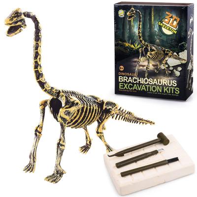 China Kids Science Kit Toys Archeology Toys Dig Dinosaur Brachiosaurus Excavation Fossil Kit 70*24*59cm 70*24*59cm for sale