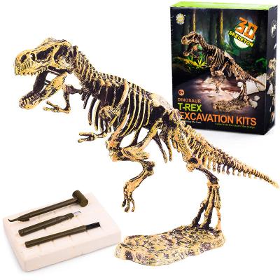 China Diy Dig Kit T-REX Dig Kits Archeology Dinosaur Fossil Toys Skeletal Excavation Dig It Out 70*24*59cm for kids 70*24*59 educational cm for sale