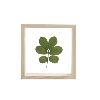 China Trendy Natural Wood Color With Glass Modern Double Plant Floating Picture Frames For Home Decor for sale