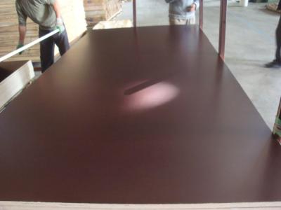 China building materials & 1220*2440, 1250*2500mm marine plywood & black and brown film faced plywood for sale