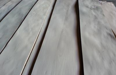 China White Natural Birch Wood Veneer For Plywood With Crown Cut Grain for sale