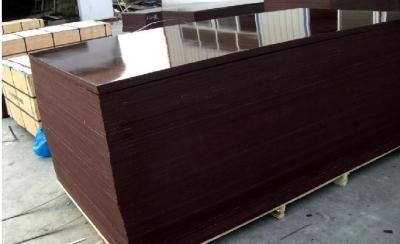 China Brown Phenolic Film Faced Plywood Board water-proof for sale