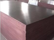 China Brown film faced plywood(1220x2440mm) for sale