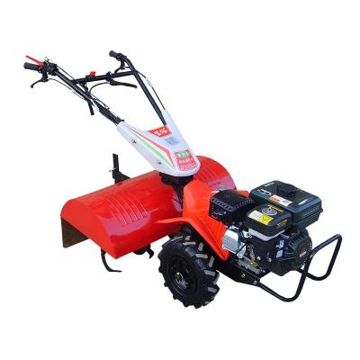 China Raises Cultivator Rotary Hydraulic Tiller Mini Tiller Tiller for sale