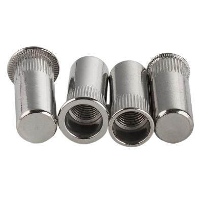 China Large Reduced Long Flat Head Blind Rivet Nut Stainless Steel Rivnut M3 M4 M5 M6 M8 M10 M12 Threaded Inserts For Housings Panels Rivet Nut for sale