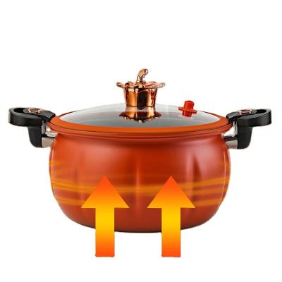 China New household style large capacity soup pot coating steamers non-stick micro pressure cooker for sale