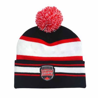 China COMMON High Quality Custom Jacquard Embroidered Sport Winter Knitted Beanie Hat /Cap With Pom Pom for sale