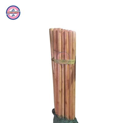 China Sustainable Factory Supply Household Cleaning Tool 22mm Diamater Wooden Broom Handle With Varnished for sale