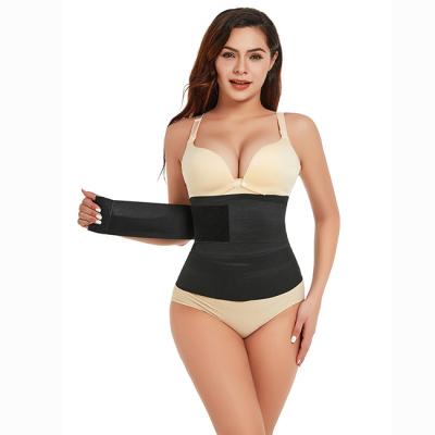 China Antibacterial Beauty Waist Trainer For Women Under Clothes Waist Bandage Wrap With Buckle Belly Wraps For Stomach Free Waist for sale