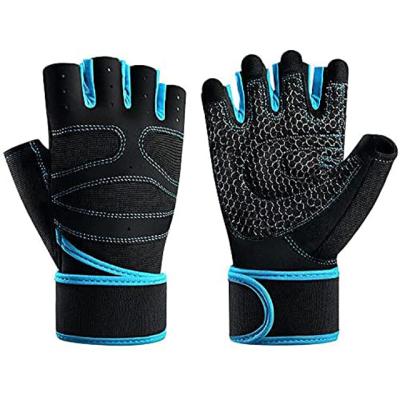 China 2022 Adjustable Basic Gym Fitness Glove Exercise Glove Workout Gloves for sale