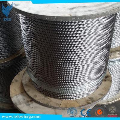 China Industry 7X19 Diameter 20mm AISI 316 Stainless Steel Wire Rope for sale