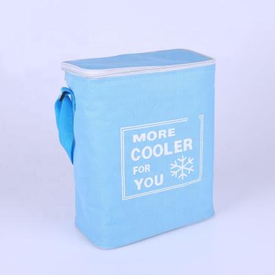 China Insulated Cooler Bag Insulated Family Picnic Bag Camping Cooler Tote Bag for sale