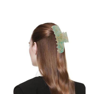 China European and American popular women's hair style large cute acetic acid hair clip claw type accessories clip for bath for sale