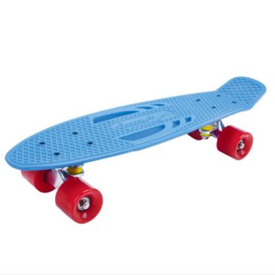 China Youth Wholesale Hollow Skateboard Fish Plastic Professional Skateboard 4 Wheels for sale