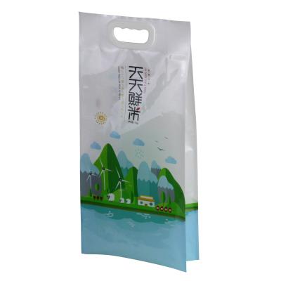 China Barrier Custom Design 1kg 2kg 5kg 10kg Side Gusset Thailand Plastic Laminated Rice Basmati Bags With Handle for sale