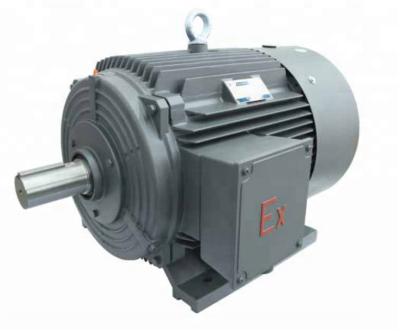 China SIEMENS 1MT0011 Explosion Proof Dust Proof Explosion Three Phase AC Induction Motor for sale