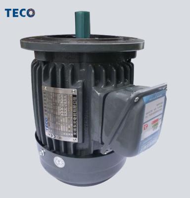 China Totally Enclosed TECO IE4 0.75KW~280KW Efficiency Three Phase Induction Motors for sale