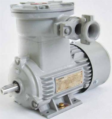 China Totally enclosed explosion-proof three-phase asynchronous electric motor from SIEMENS for sale