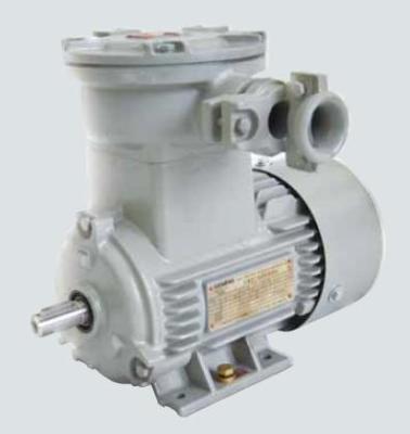 China SIEMENS 1MB0061 IP55 0.55~315KW Totally Enclosed IE2 Motor IE2 Induction Three Phase AC Motor for sale