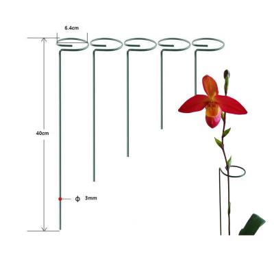 China 18 Inch Plant Metal Garden Flower Support Plant Climbing Stakes Plant Single Stem Support Stake 6.4cm*40cm for sale