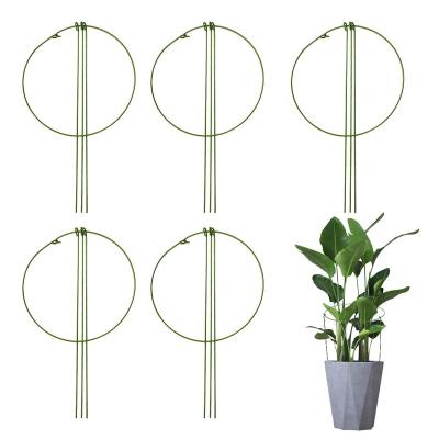 China Hot Sale Iron Wire Mini Plant Orchid Potted Climbing Farme Garden Plant Support Rings for sale