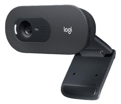 China Logitech C505e HD 720p Webcam With Long Range Mic For Business C505e for sale