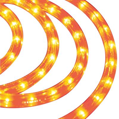 China Connect HQ Butt Led Outdoor Decorative Orange Tube Rope Light Led Garden String Light Halloween Christmas Decoration Led String Light for sale