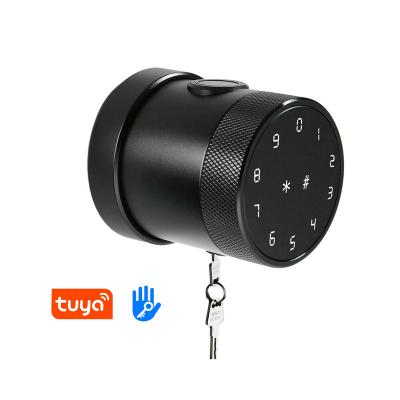 China TTlock Realm 320Z Button Door Lock Tuya Smart Fingerprint Round Door Lock Tuya TTlock Smart Round Door Lock for sale