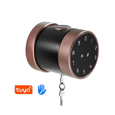 China TTlock Realm 320Z Smart Button Door Lock Tuya Fingerprint Safe Smart Door Lock Tuya TTlock Smart Door Lock for sale