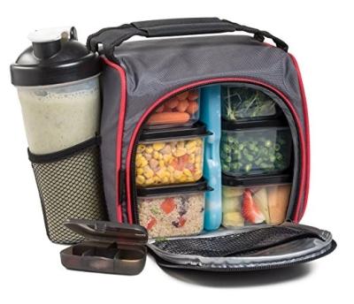 China Portable Professional Waterproof Insulated Picnic Lunch Ice Food Bag Waterproof Insulated Plastic Container for sale