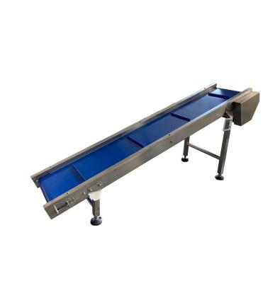 China Easy To Operate Rui Packing Hot Sale Stainless Steel Small Exit Belt Conveyor For Factory for sale