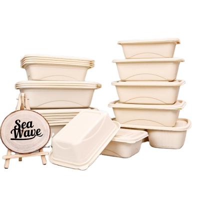 China Eco Friendly Disposable Customizable Disposable Bamboo Fiber Biodegradable Bowl Take Away Pulp Food Container Space Party Gifts Travel Kitchen Beer Discount Camping for sale