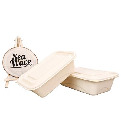 China Eco Friendly Disposable Customizable Gifts Disposable Bamboo Fiber Biodegradable Bowl Take Away Pulp Food Container Space Party Travel Kitchen Beer Discount Camping for sale