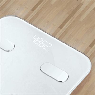 China OEM body fat wireless smart scale weight analysis weight scale bmi viable adult body digital body scale for sale