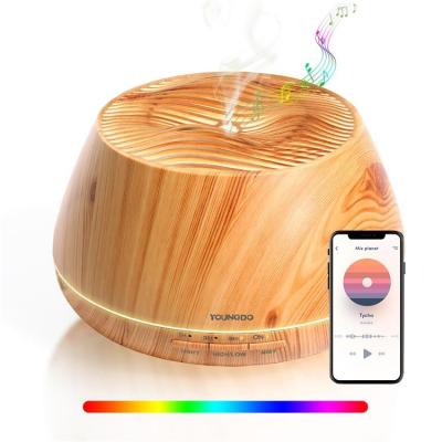 China Household/Hotel Ultrasonic Aroma Diffuser Essential Oil Diffuser Oil Aroma Humidifier YOUNGDO for sale