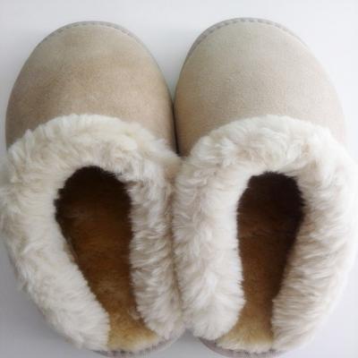 China Fashion Trend Sheepskin Fur Slide Slippers Indoor Women In Winter Factory Price for sale