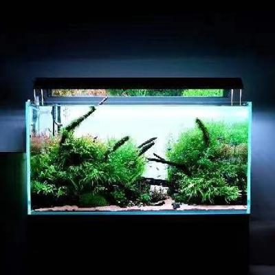 China Luxury and high quality aquarium led lighting aquarium backlight led aquarium fish tank lighting customized size for sale