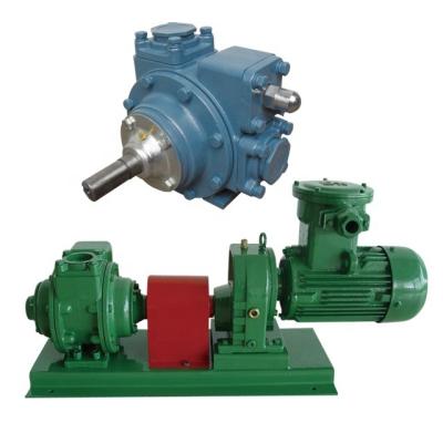 China Automotive Industry Blackmer Self Priming Rotary Vane Oil Pump Vane Pump Sliding Oil Vane Pump for sale