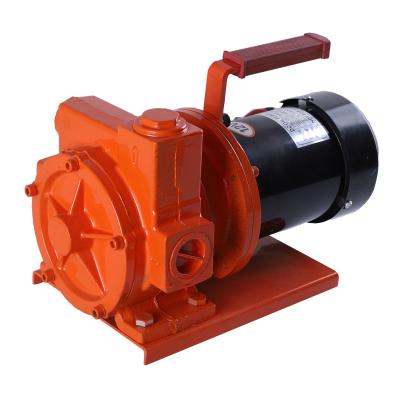 China 12v diesel fuel transfer pump diesel transfer pump dc 12v automatic diesel pump high quality automatic transfer pump for sale