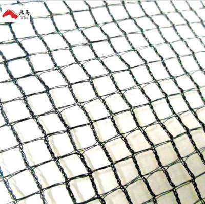 China HDPE Or PE China Market Black Color PP Knotless Anti Bird Netting for sale