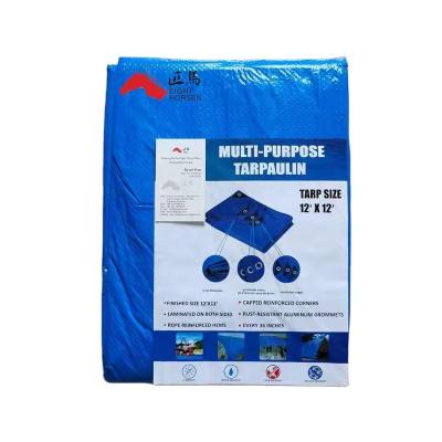 China Long Life-durable With Grommets On Corner 4mx5m UV Reinforced Binding Waterproof PE Tarpaulin Tarpaulin for sale