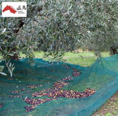 China Warehouse professional harvesting olive nets, harvest manufacturing farm, olive net for sale for sale