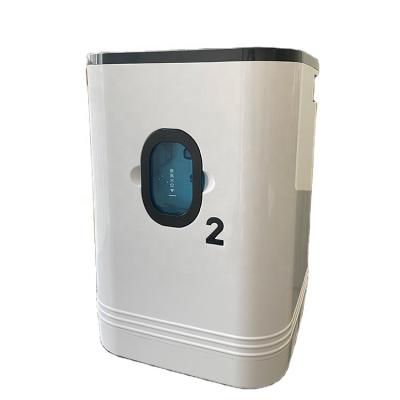 China Optional Home Use Atomization Oxygen Concentrator Portable Oxygen Device for sale