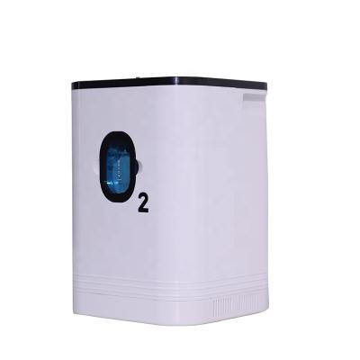 China portable oxygen concentrator machine for household 1L 3L 5L 10L 210*215*310 for sale