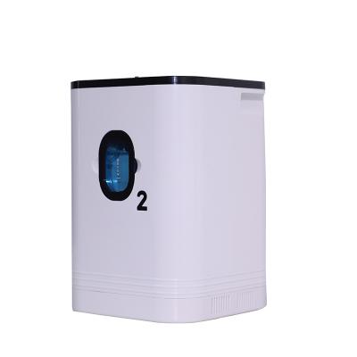 China Optional Hot Sale Atomization Oxygen Generator Concentrator Portable Oxygen Machine 1L 5L for sale