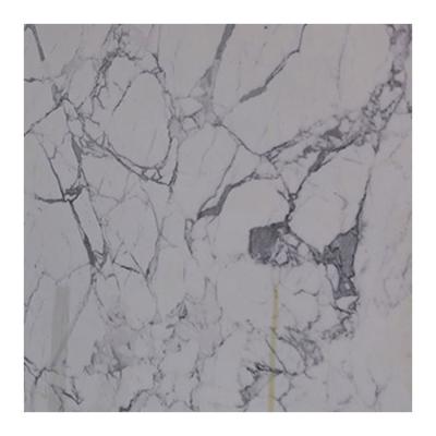 China Modern Arabescato Tile And Full Body Pavers Cut-To-Size Statuary Marble Wall Decoration Stone for sale