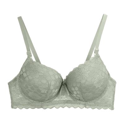 China Ladies QUICK DRY Feminine Women's Bra, Wholesale Custom Customized Bra, Plus Size Lace Green Bra for sale