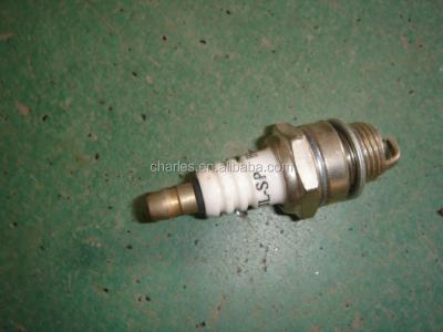 China spark plug customized for sale