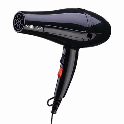 China Salon Professional Blue Light Hair Care Ionic Hair Dryer Electric Home Ionic Powerful Hair Dryer for sale